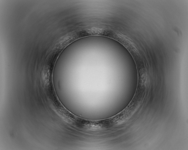 X0000111600498200907161555