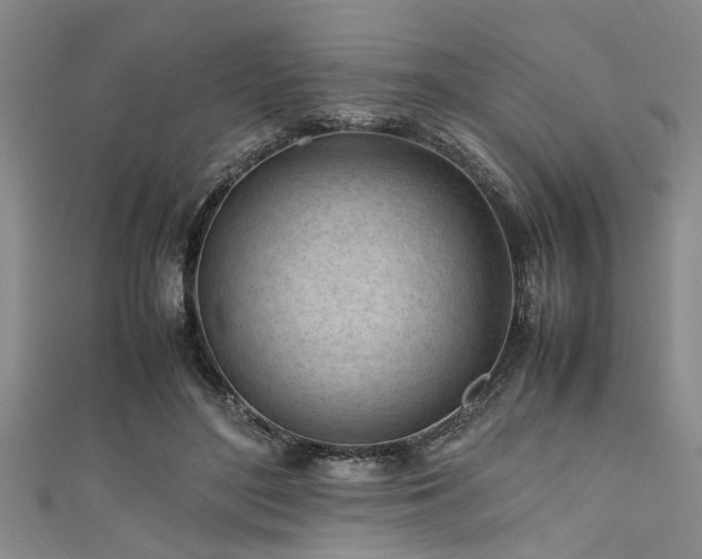 X0000111600500200907161555