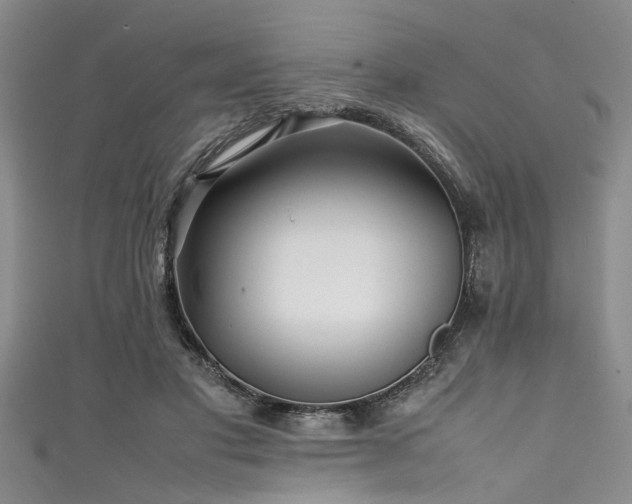X0000111600501200907161555