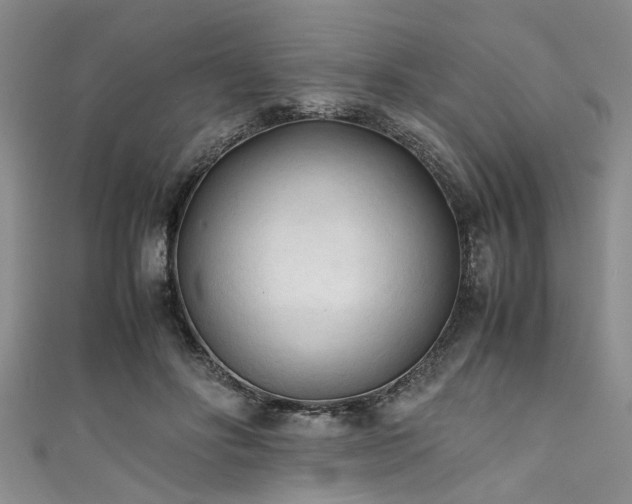 X0000111600502200907161555
