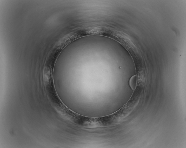 X0000111600503200907161555