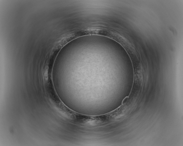 X0000111600504200907161555