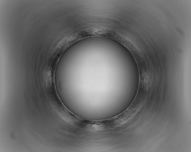 X0000111600506200907161555