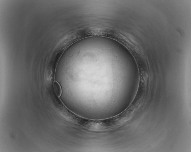 X0000111600507200907161555