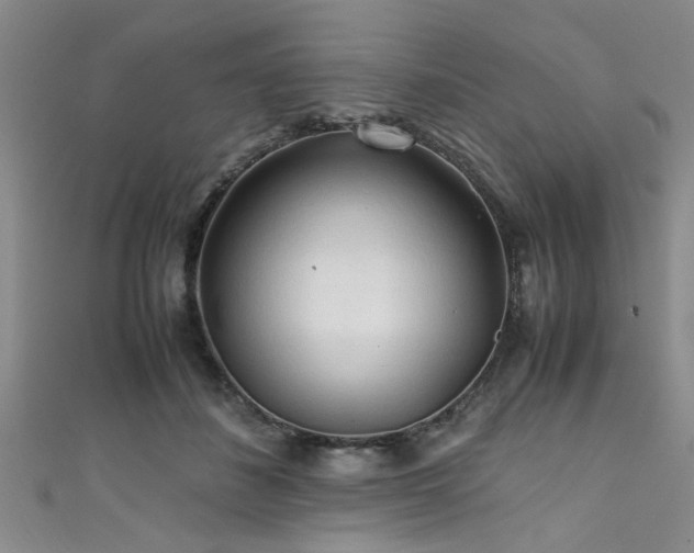 X0000111600508200907161555