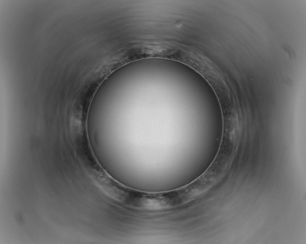 X0000111600510200907161555