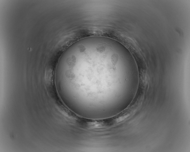 X0000111600511200907161555