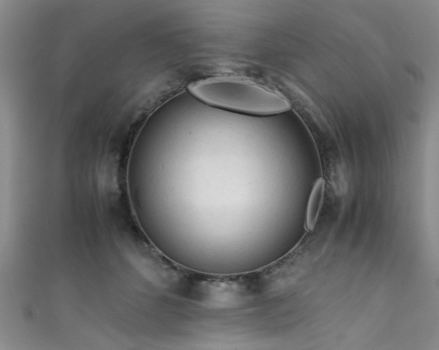 X0000111600512200907161555