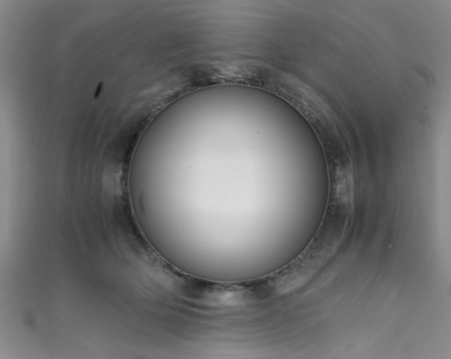 X0000111600514200907161555