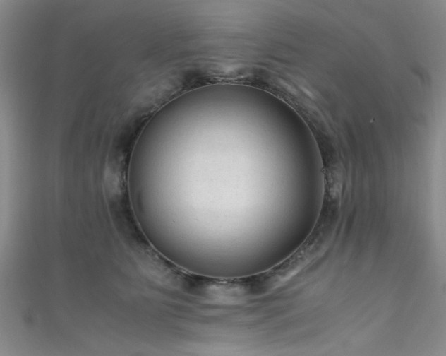 X0000111600515200907161555