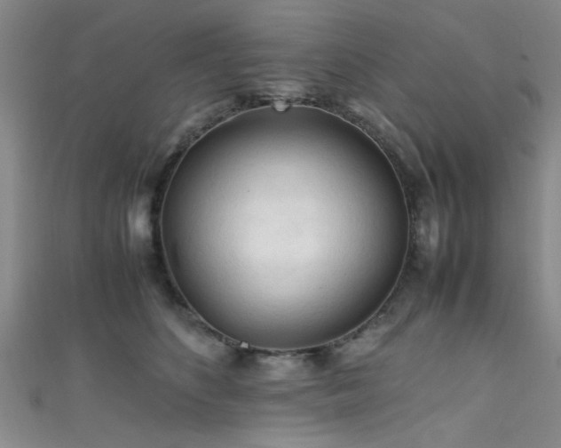 X0000111600516200907161555