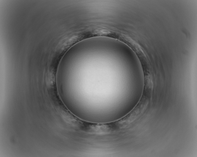 X0000111600517200907161555