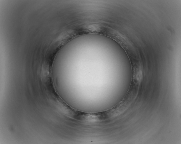 X0000111600518200907161555