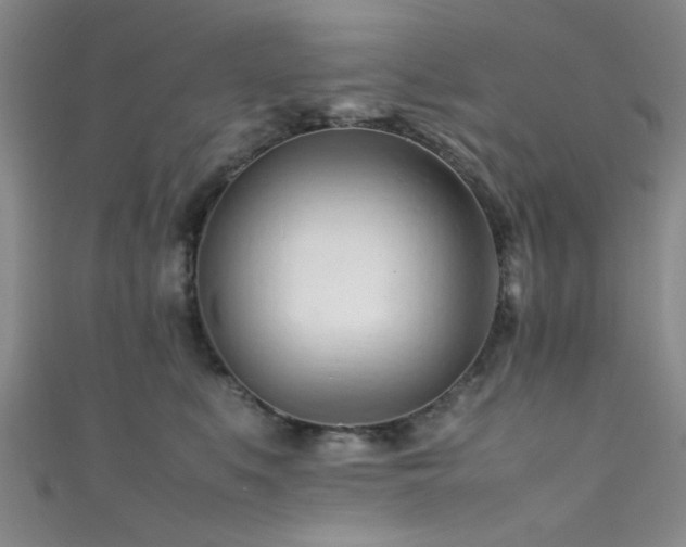 X0000111600519200907161555