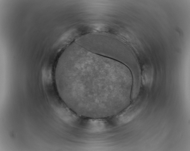 X0000111600520200907161555