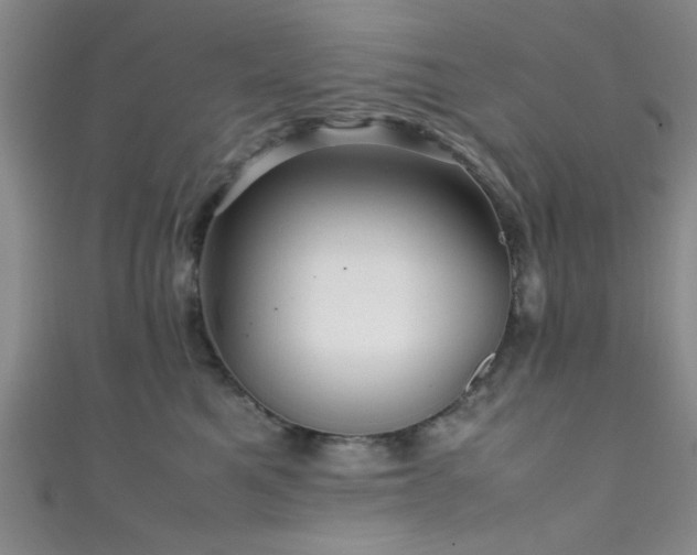 X0000111600521200907161555