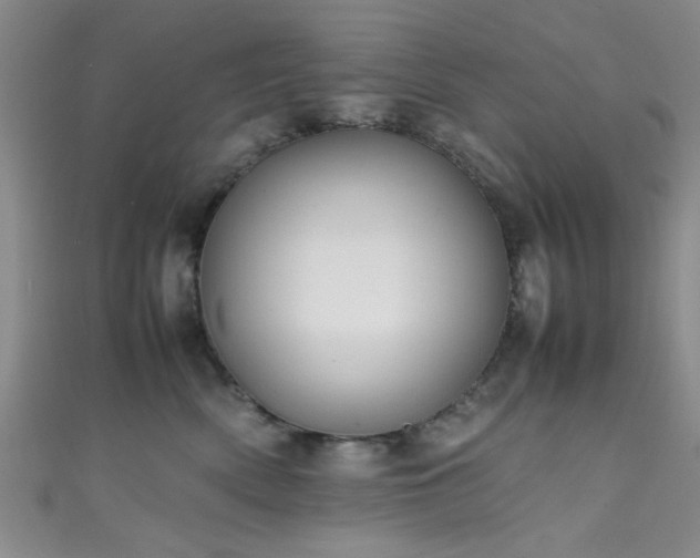 X0000111600522200907161555