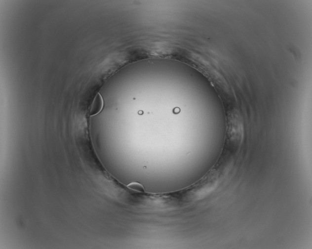 X0000111600523200907161555