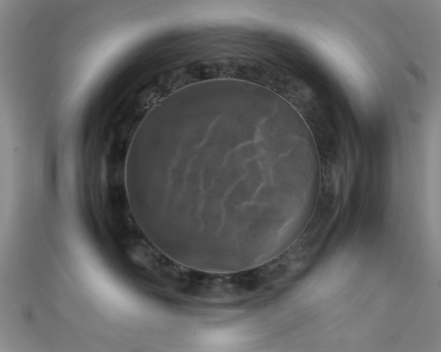 X0000111600526200907161555