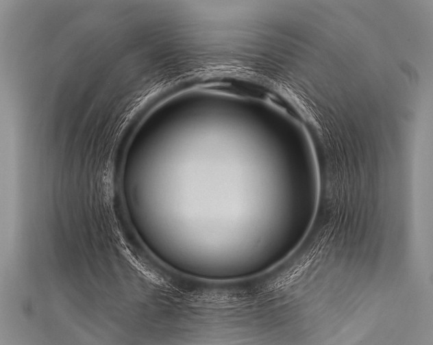 X0000111600530200907161554