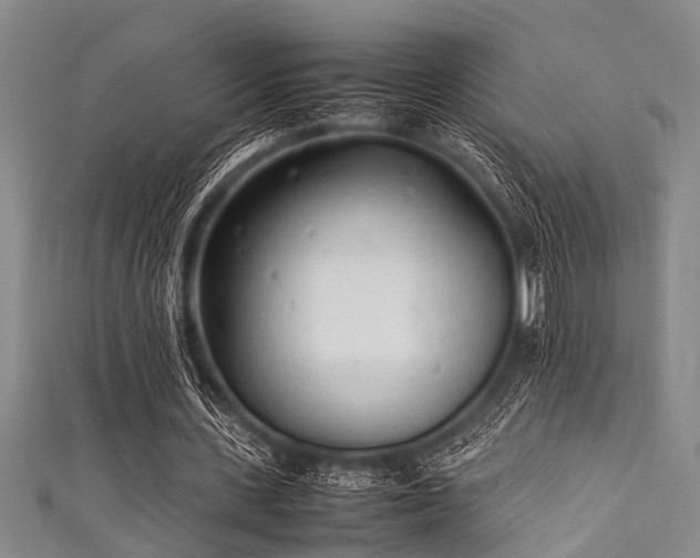 X0000111600531200907161554