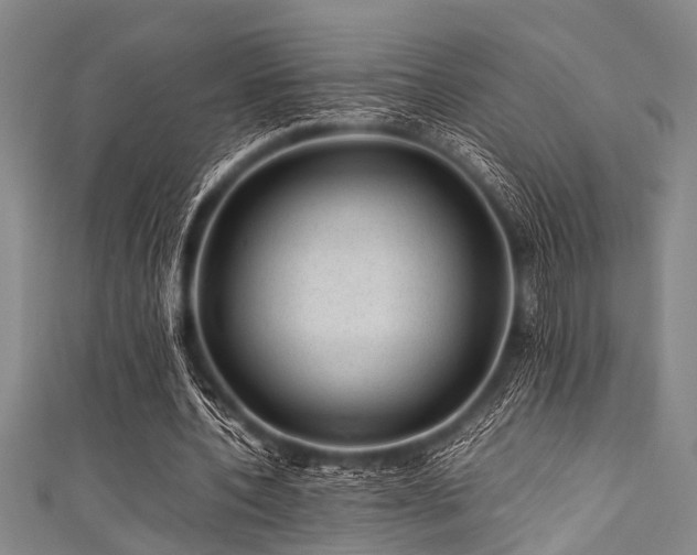 X0000111600532200907161554