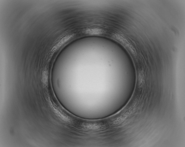 X0000111600533200907161554