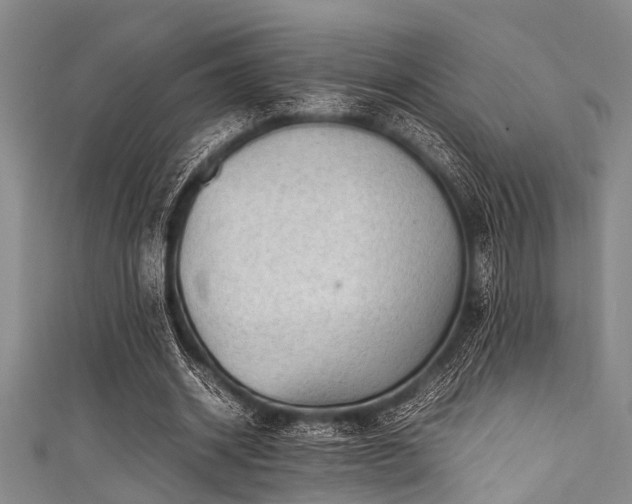 X0000111600534200907161554