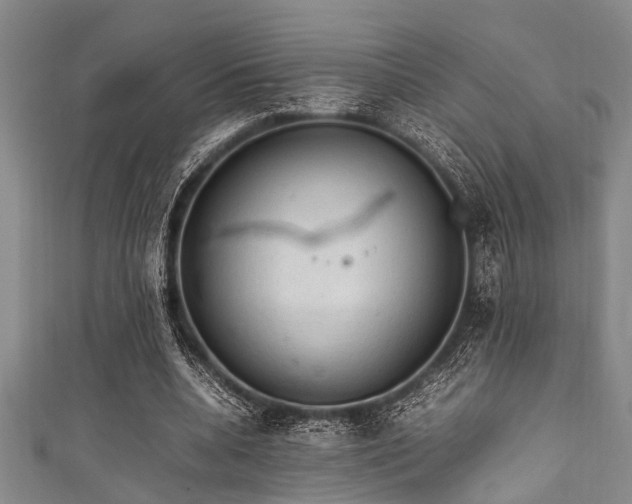 X0000111600536200907161555