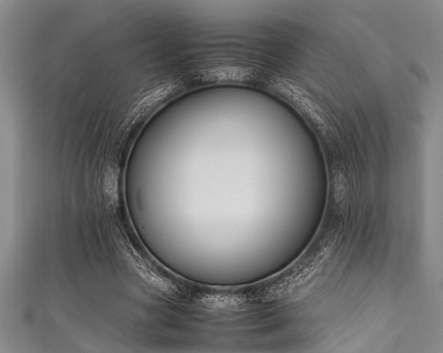 X0000111600537200907161555