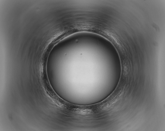 X0000111600539200907161555