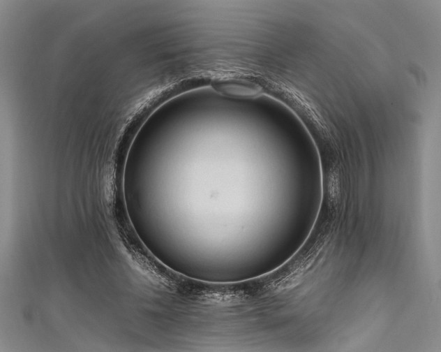 X0000111600540200907161555