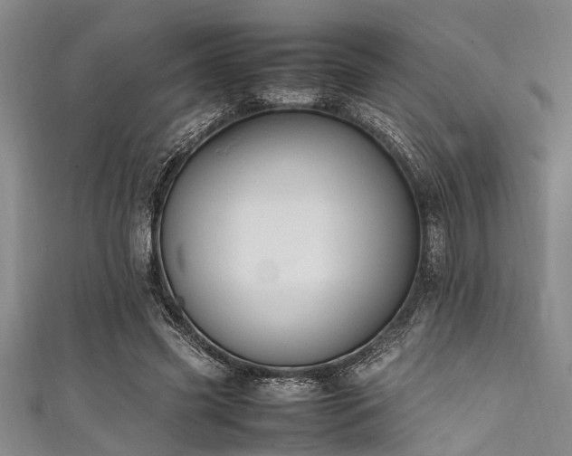 X0000111600541200907161555