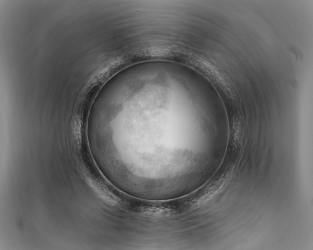 X0000111600542200907161555