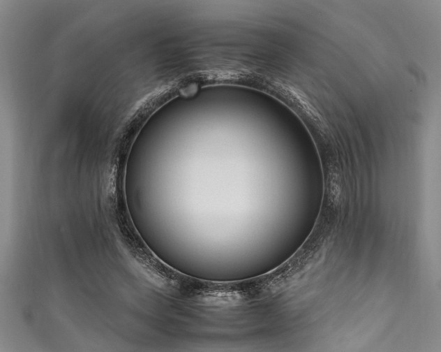 X0000111600543200907161555