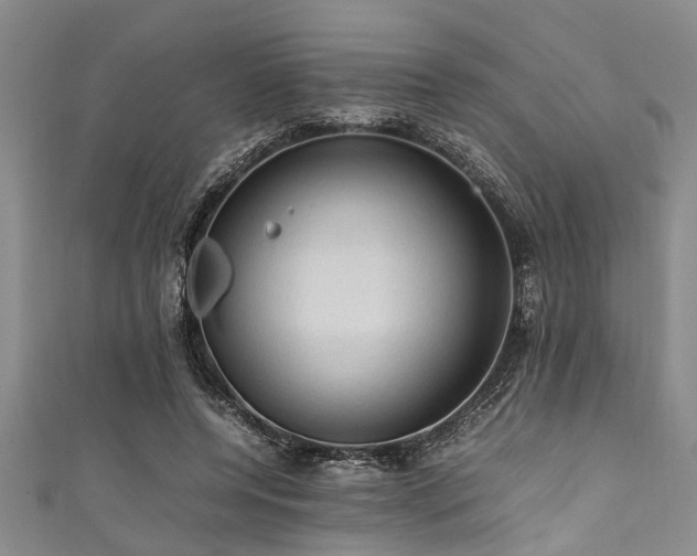 X0000111600544200907161555
