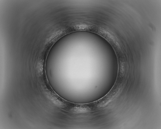 X0000111600545200907161555