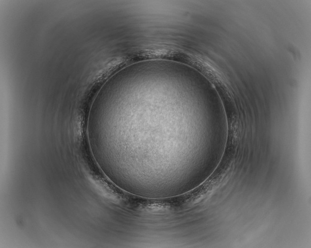 X0000111600546200907161555