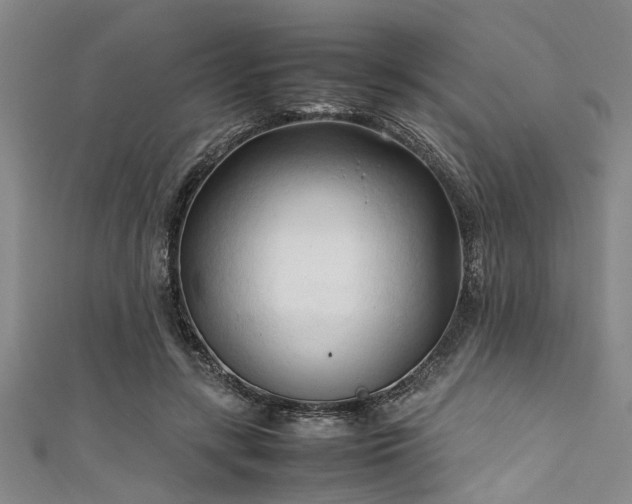 X0000111600547200907161555
