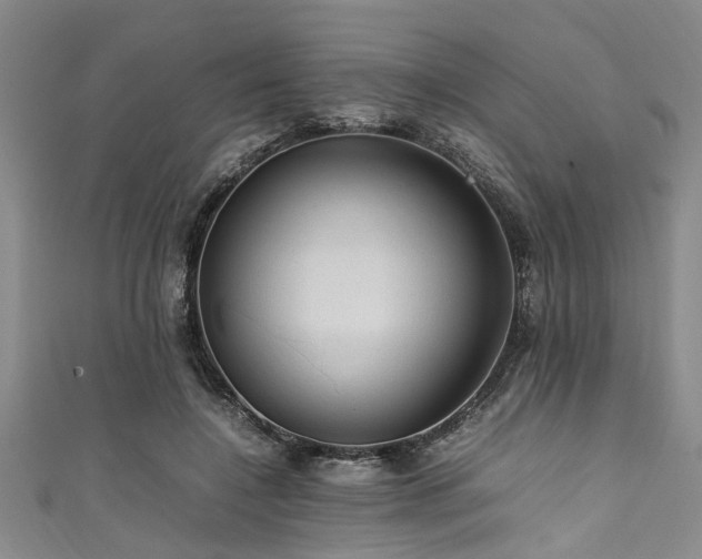 X0000111600548200907161555