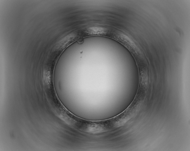 X0000111600549200907161555