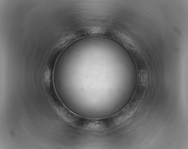 X0000111600550200907161555