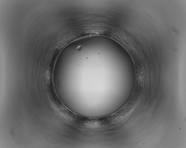 X0000111600551200907161555