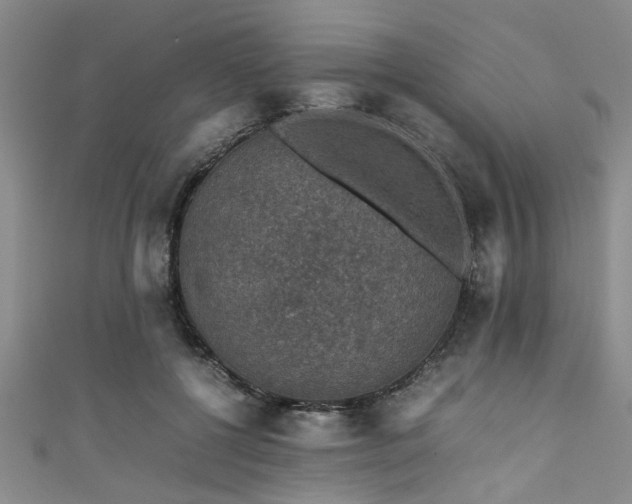 X0000111600552200907161555