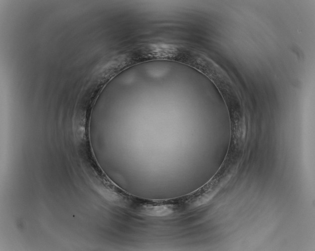 X0000111600553200907161555