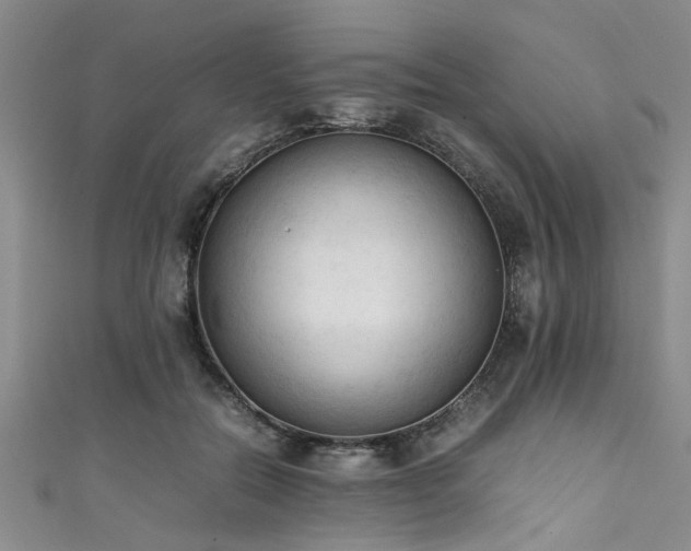 X0000111600554200907161555