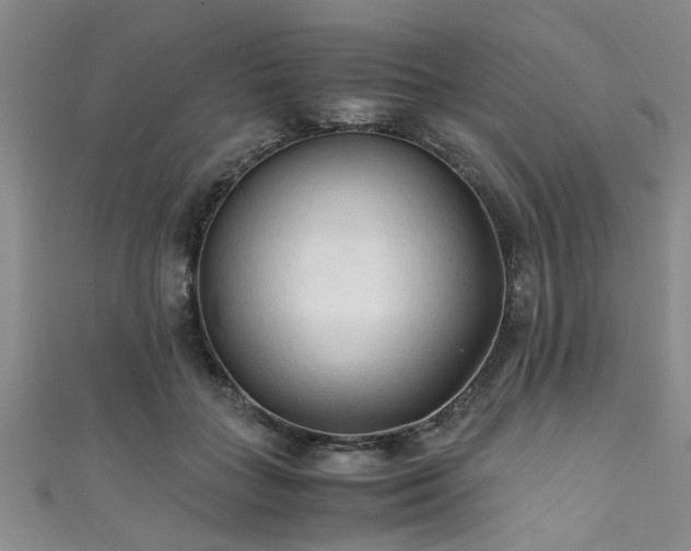 X0000111600555200907161555