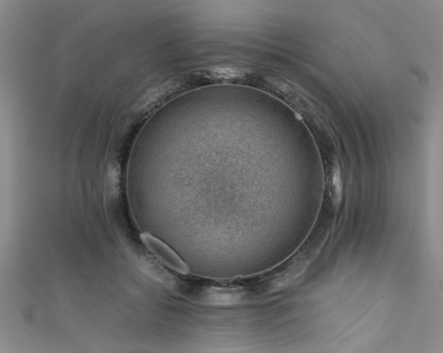 X0000111600556200907161555