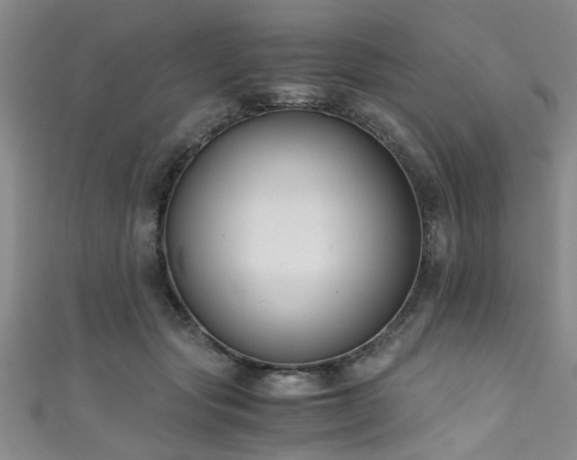 X0000111600557200907161555