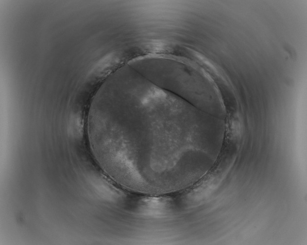 X0000111600558200907161555